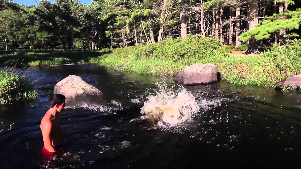 Experience Kejimkujik
