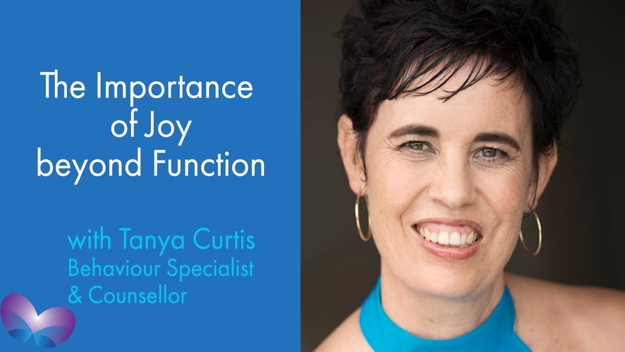 The Importance of Joy beyond Function