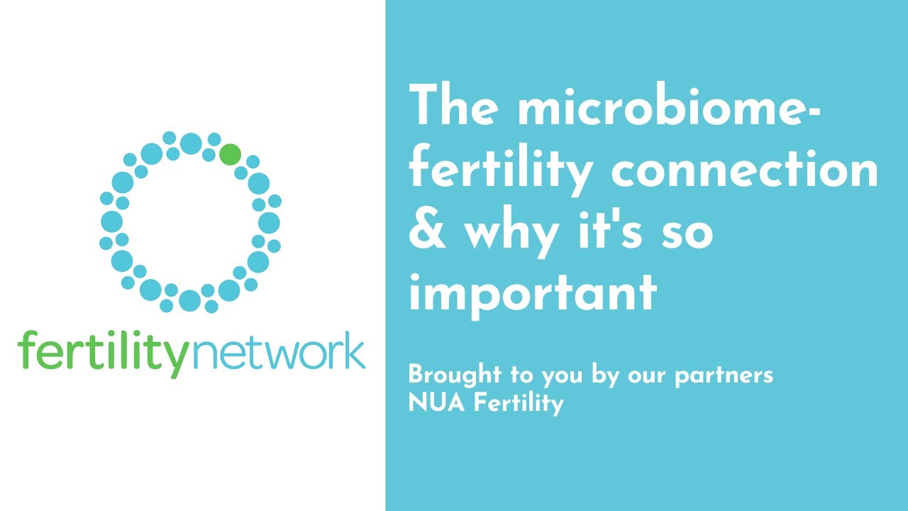 The microbiome fertility connection & why it&rsquo;s so important