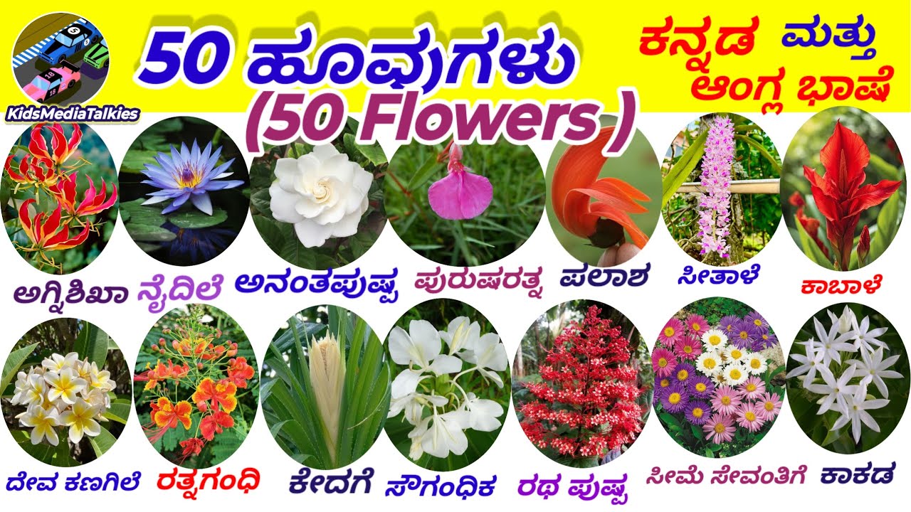 50 Flowers||🌹50 ಹೂವುಗಳು #flowersinkannada #learn  #ಹೂವುಗಳು @KidsMediaTalkies 