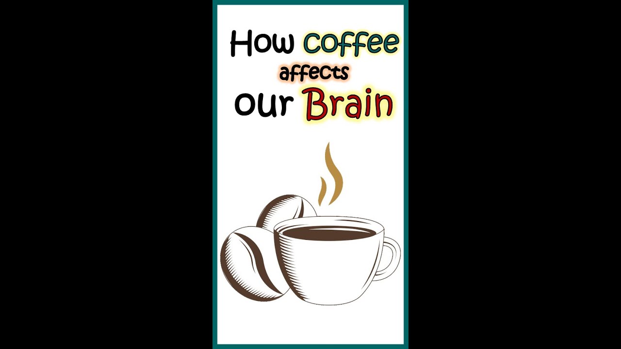How coffee affects our brain? How coffee makes us feel energetic