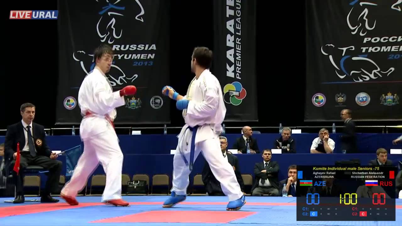 Kumite Individual male Seniors -75 Karate1 Premier League, Tyumen 2013