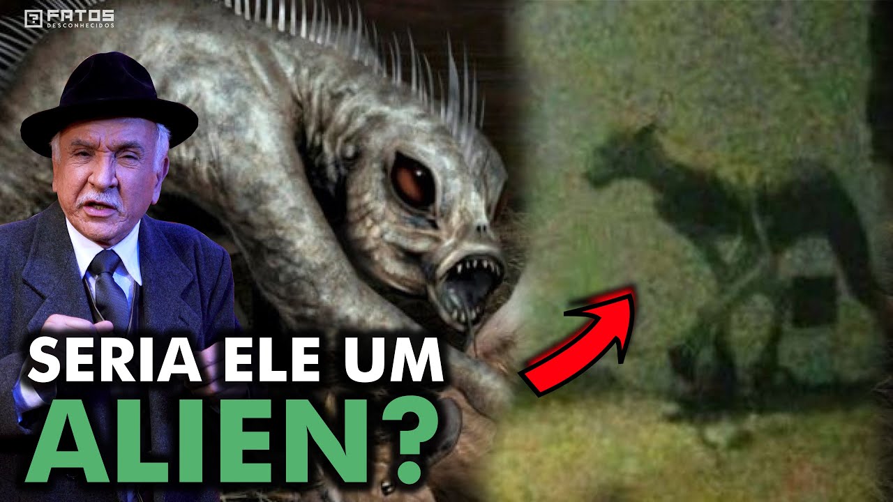 Chupa-Cabra, a criatura que aterroriza fazendas ao redor do mundo - Lendas Urbanas