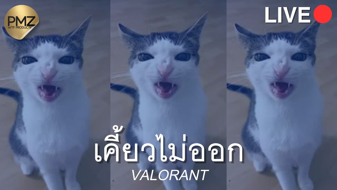 เคี้ยวไม่ออกเหนียวเกิน Valorant