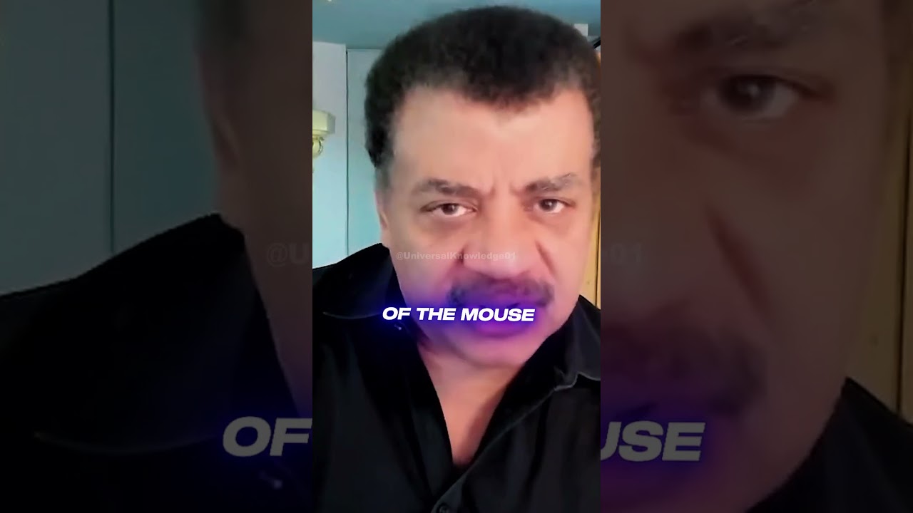 MOUSE 🐁🤔 vs OAK TREE🌳🤔w/ Neil Degrasse Tyson