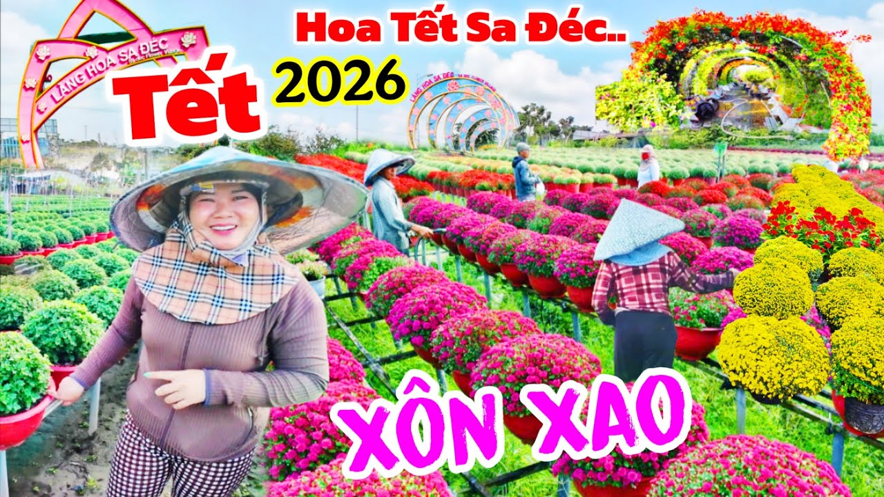 Bùng Nổ