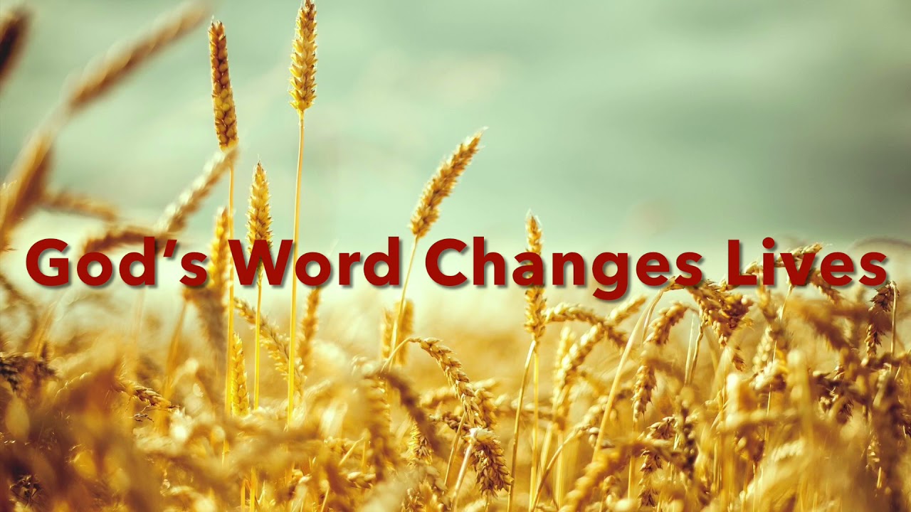 God&rsquo;s Word Changes Lives Minus One