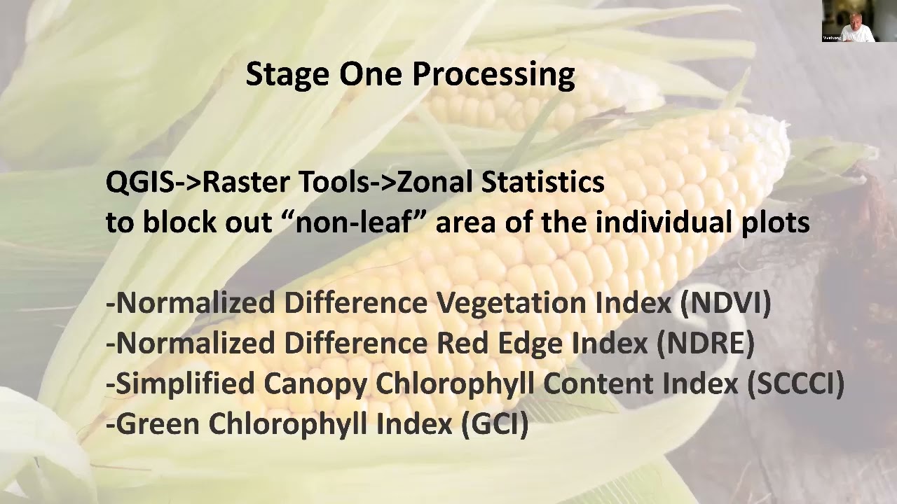 Corn yield prediction via integration of remote sensing, machine learning and crop modelling