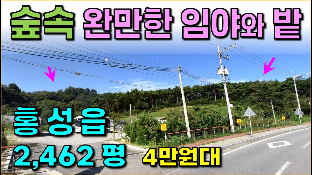 홍성읍 . . 2,462 평 / 자연녹지지역, , 홍성읍내 외곽 숲속의 완만한 밭과 임야,   / 군유지 접