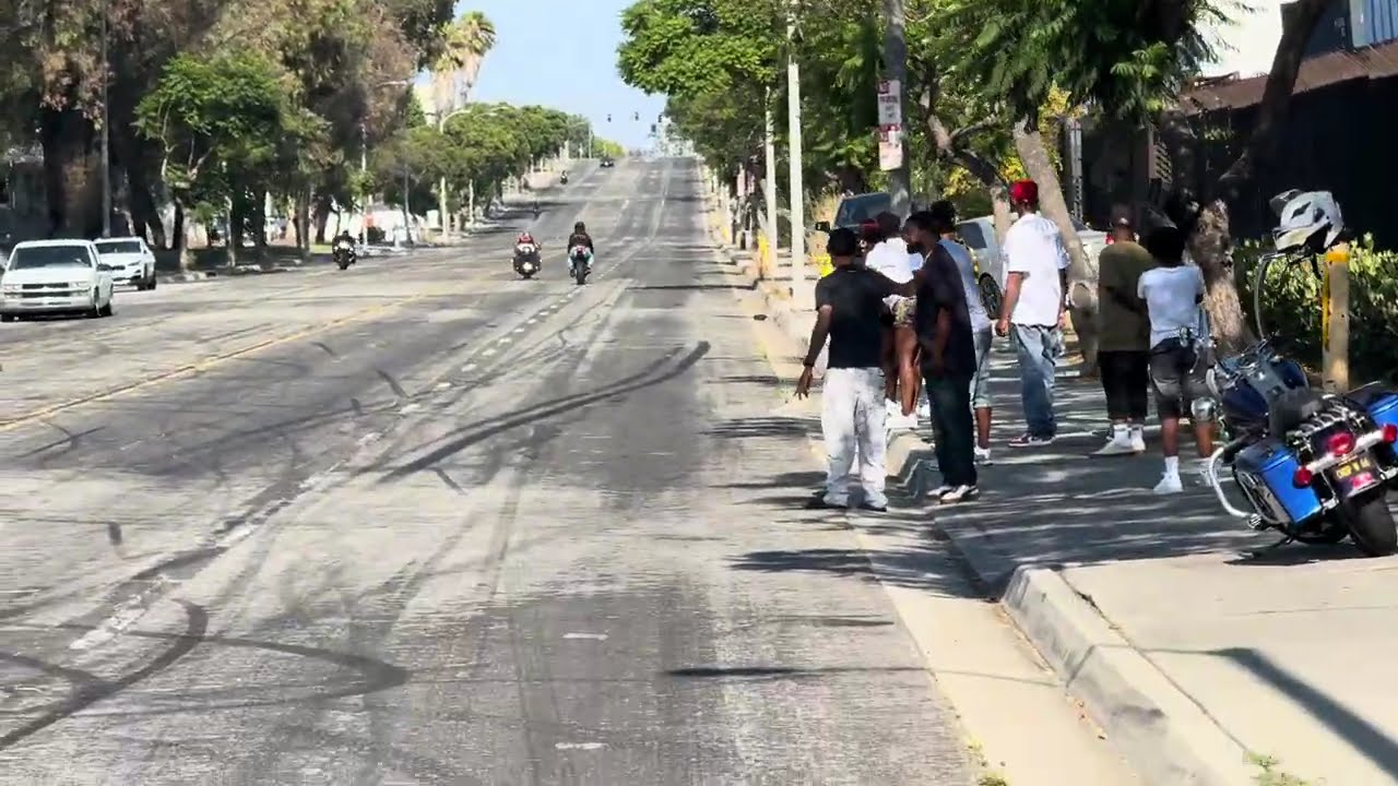 Harley Davidson BEATS 2 DIFFERENT R1 Street Bikes 😳 Back 2 Back Pull Offs!