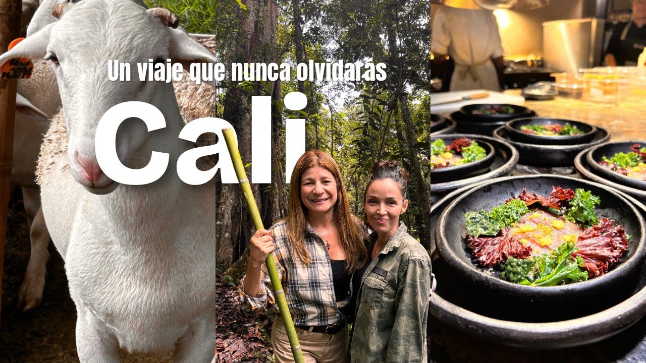 CALI, BONITO, BARATO, SABROSO Y DIVERTIDO. #salsa #restaurante #hotel #colombia #chef