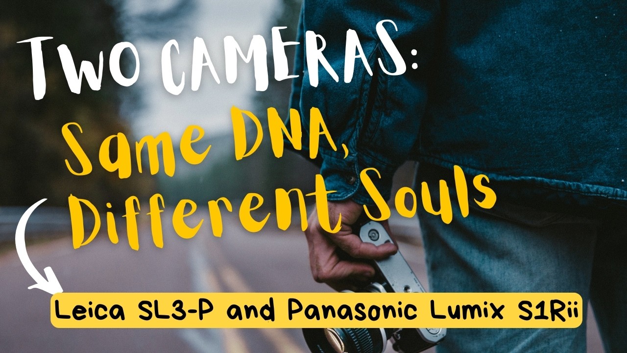 Leica SL3-P против Lumix S1RII &mdash; одна ДНК, разные камеры