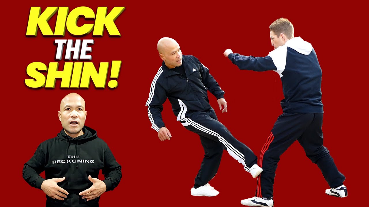 End a Fight Fast Shin Kick vs Punch  Wing Chun