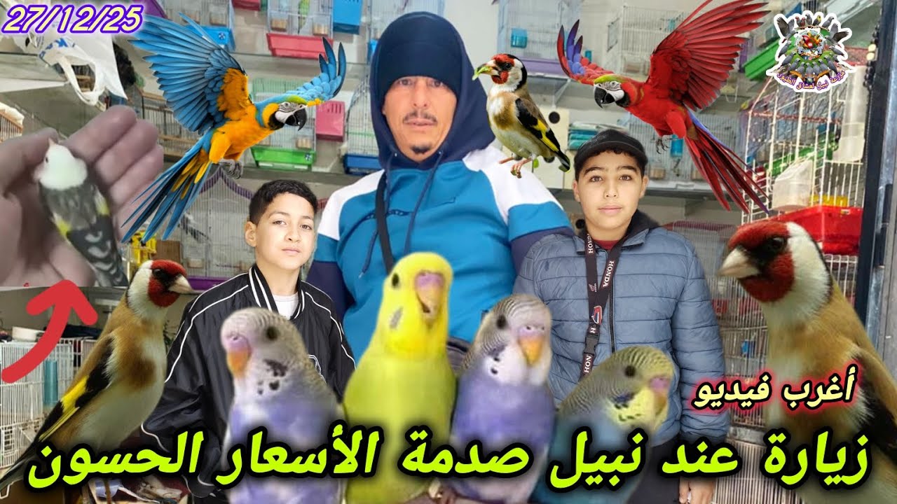 صدمة الأسعار جولة في أرخص محل لبيع #طيور #الحسون والببغاوات صفقات أسعار زمان لا تفوتك 🦜🔥