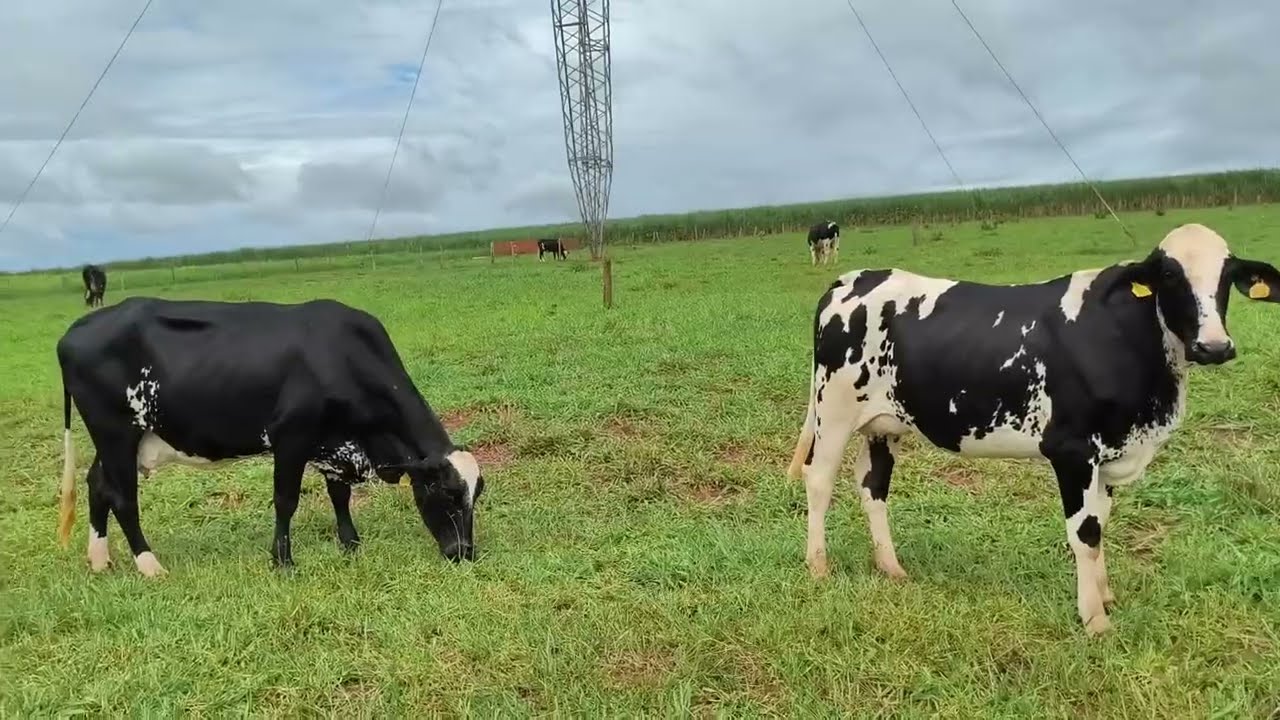 você  não  é fruto do  acaso  tenho  uma missão  a cumprir Deus te  escolheu 
