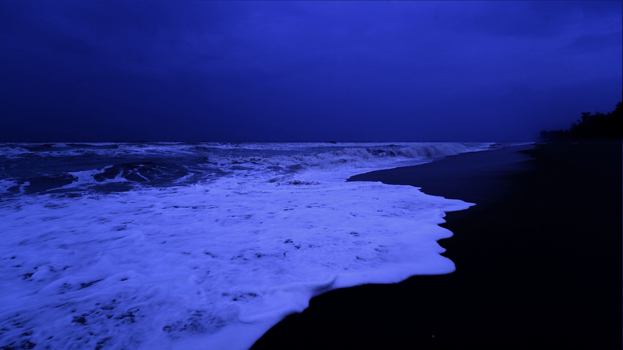 Ocean Waves for Deep Sleep - Relaxing Ocean Sounds for Stress Relief Calm Mind and Sleep