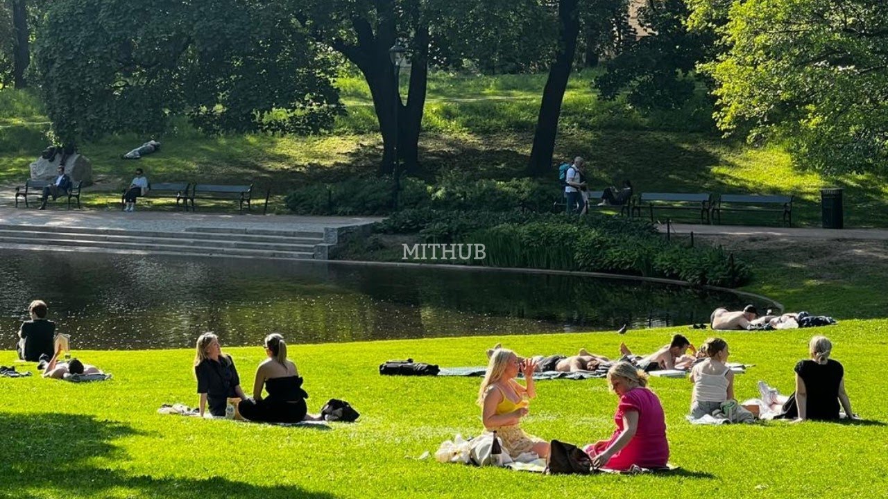 [Playlist] 나른한 오후, 피크닉 감성 팝송