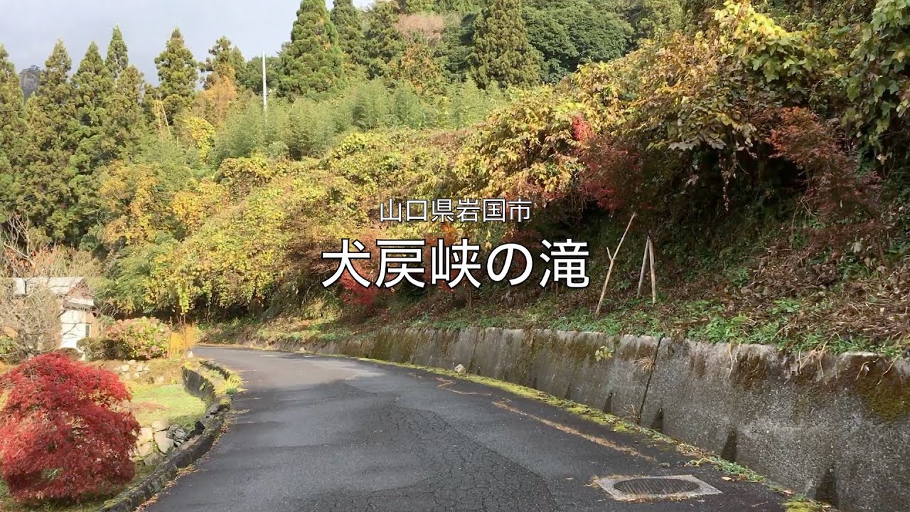【山口県・岩国市】 犬戻峡の滝 2022.11 approach