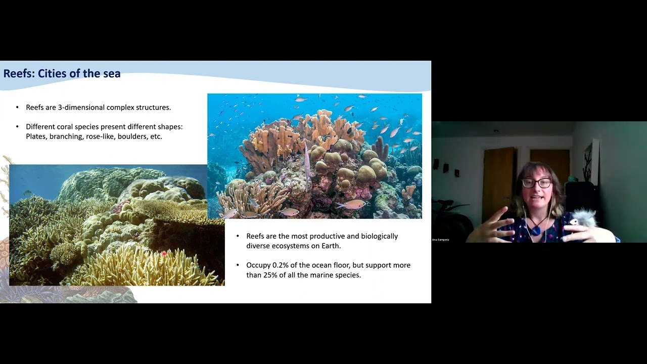 Episode 6: Tales from the reef: The impact of environmental change on corals