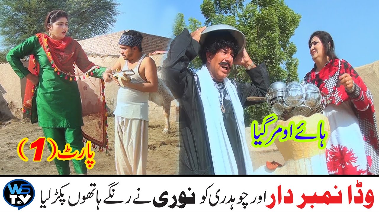 Wada Numberdar Mahar Akhter Nor Nazir Nori | New Funny Video | Part 1 | Top Video 2024 WS TV HD