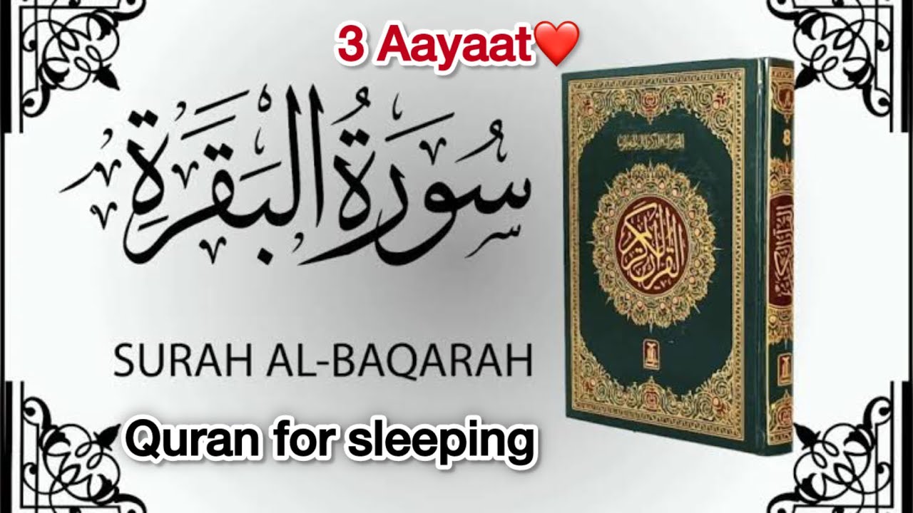 Surah Al-baqarah💕✨||Ep_241||Beautiful Quran recitation🥰Hafiz Muhammad Suleman🕌#surahbaqarah#viral
