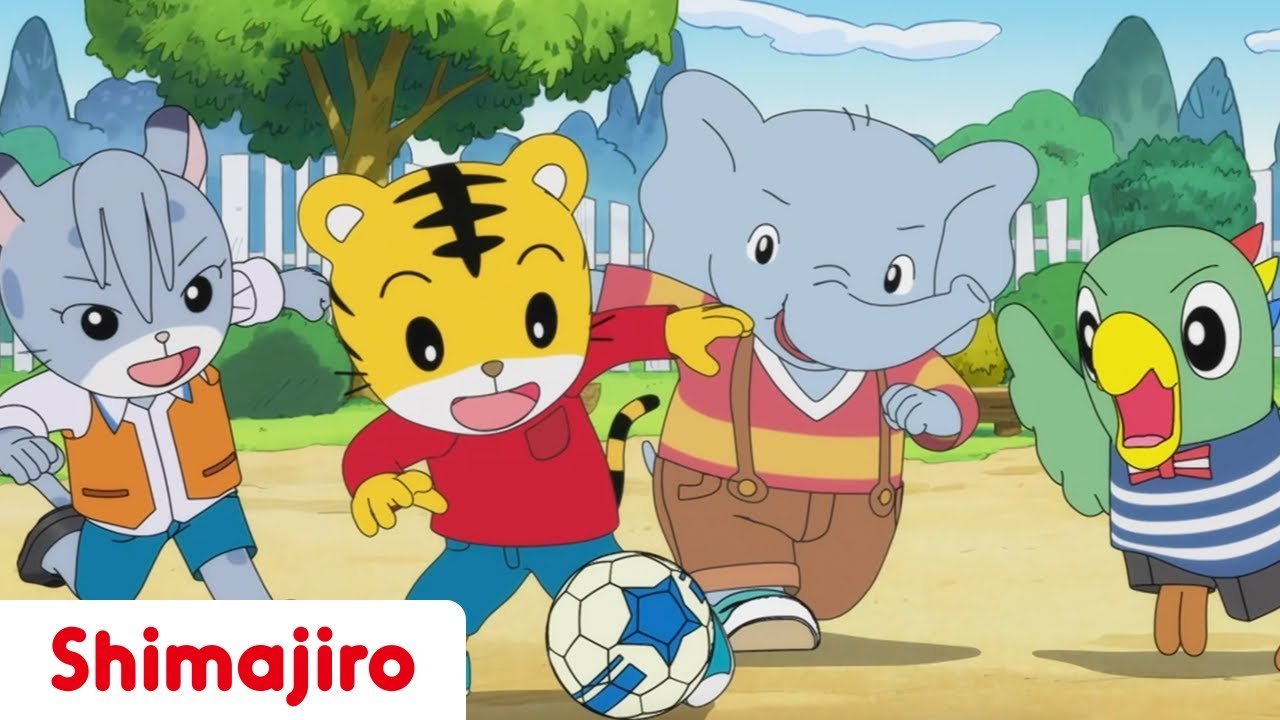 The Best Team in the World!⚽️ Kindergarten | 24 Minute Compilation | Kids video for Kids | Shimajiro