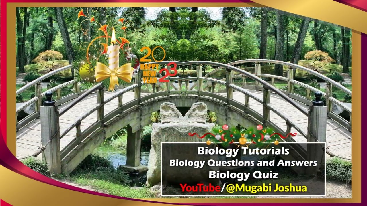 YouTube @Mugabi Joshua         Happy New Year