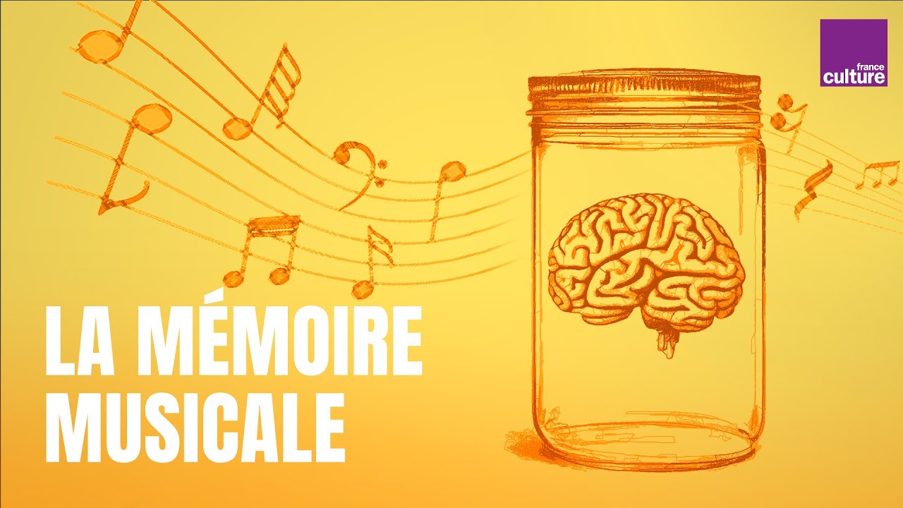 La puissance de votre mémoire musicale (1/6) | Votre cerveau, saison 10