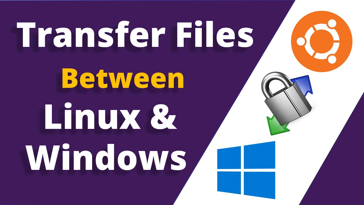 Как перенести файлы из Linux в Windows | Настройка WinSCP SFTP