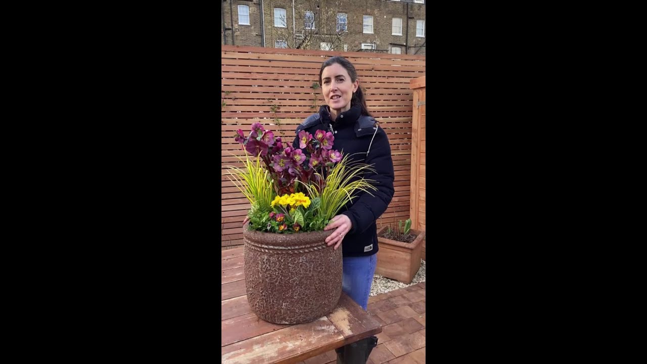 Using the colour wheel for pots with contrast
