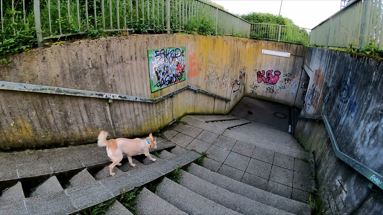 Dülken, Viersen 19.05.2021