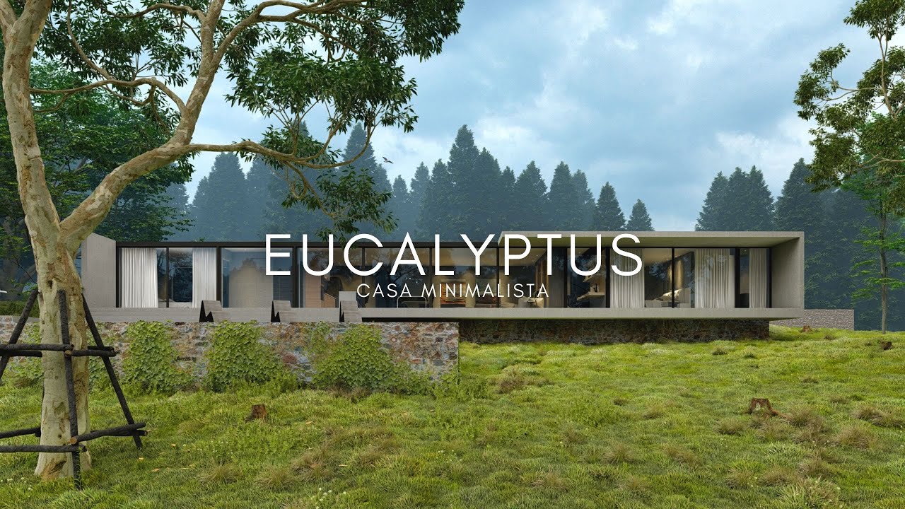 CASA SEMI SUSPENSA DE 17X24 MODERNA E ACONCHEGANTE - EUCALYPTUS