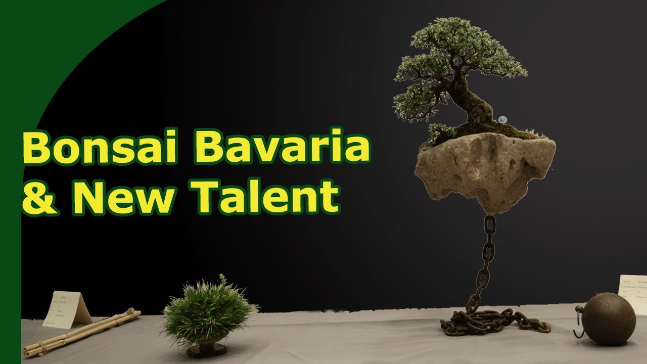 Germany Bonsai Talent & Bavarian Bonsai Show Report