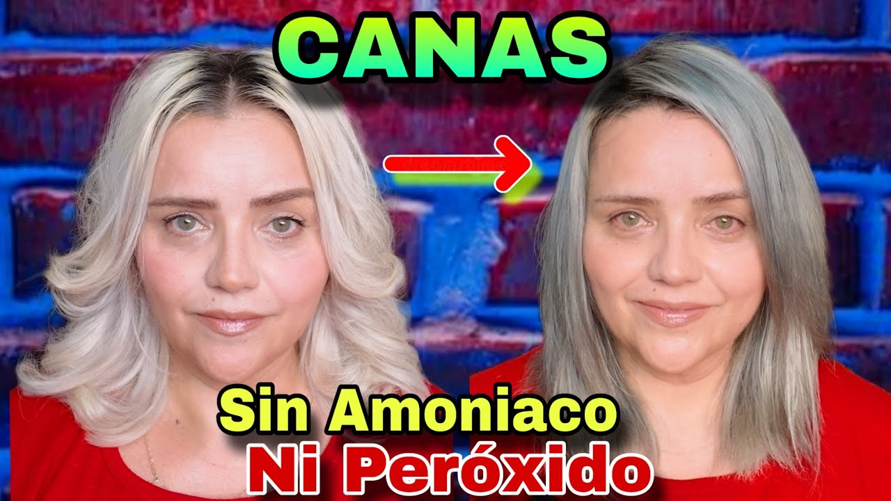 Matizador Casero SIN PEROXIDO NI AMONIACO para CANAS y patinar cabello / lizzmuller 