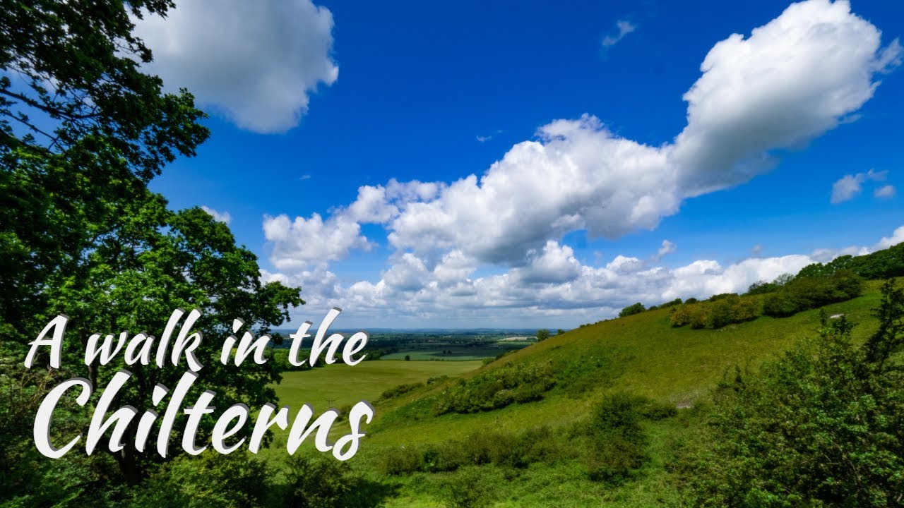 Chilterns walk 3rd June 2019