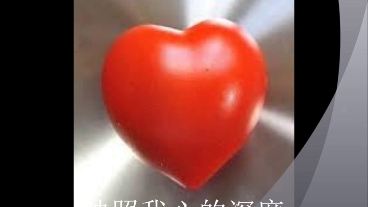 我的太阳－田鸣恩