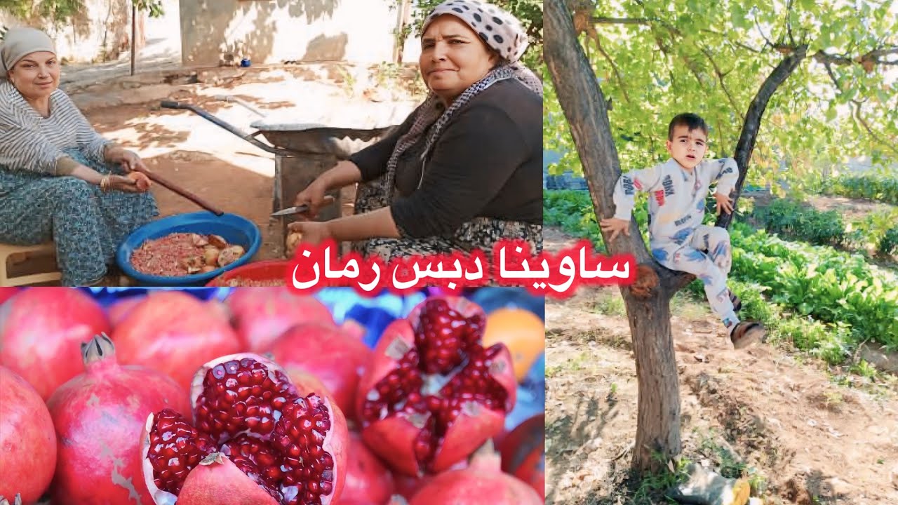 ساعدت جارتي بدبس الرمان 😍تحضير المونة 🥰رمان صافي بدون أي إضافات ❤️