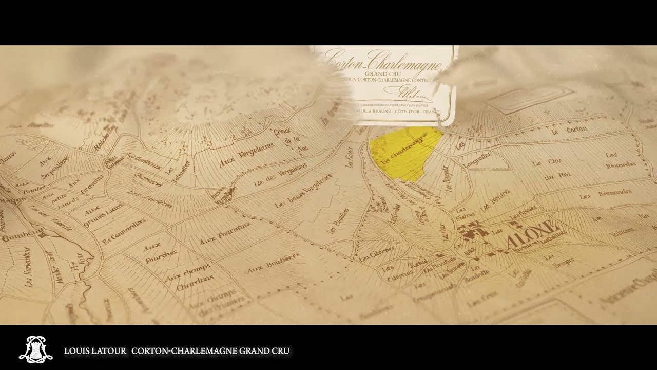 Episode 1: le Corton-Charlemagne Louis Latour