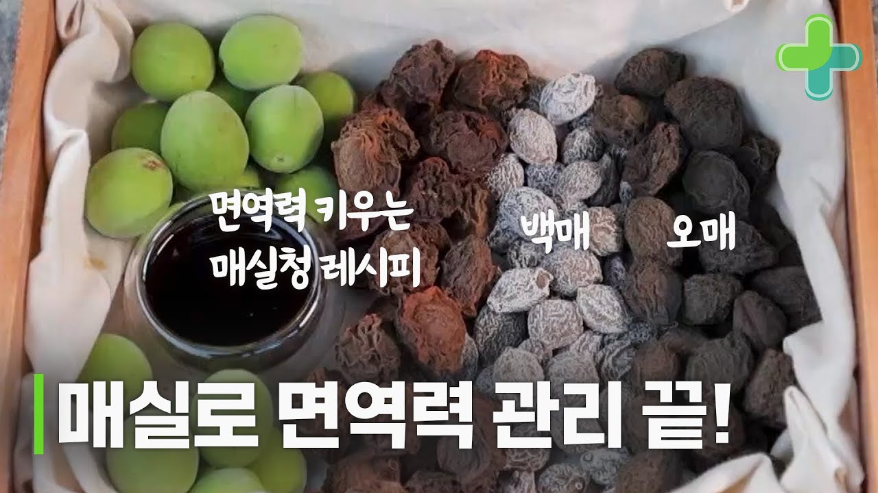 매실 하나로 면역력 관리 끝내기!