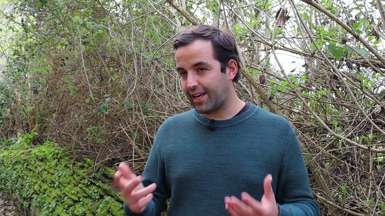 Guido Gu&iacute;a Lugo Galicia