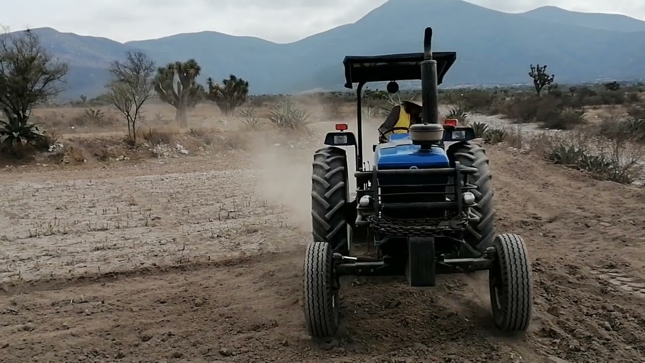 un día más de chamba gracias a Dios saludos a todos los que sé dedican al campo 😀😃😄