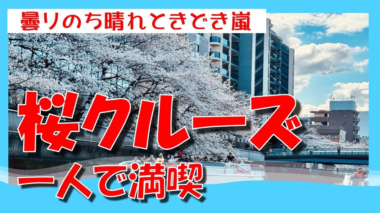 【お花見クルーズ】　シニア年金生活　女一人旅　素敵なカフェでランチ　ソメイヨシノはクローン？　船に乗って桜を堪能　下町っていいな