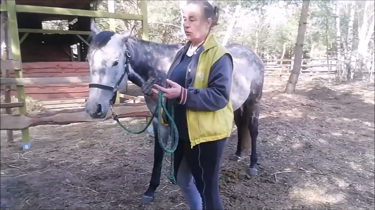 Podawanie przednich nóg