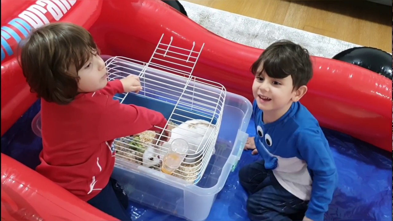 Fatih selim ve Yusuf renkli topları toplayıp tavşanla oynadılar😍👻