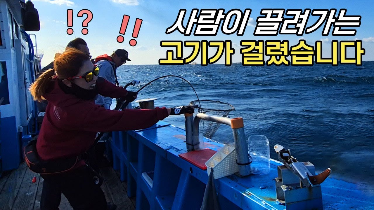 알방어 지깅 낚시 갔다가 이런 거 걸리면 어쩌실 겁니까!?