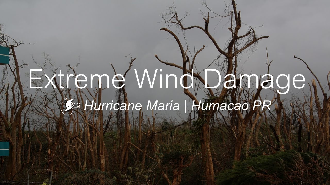 HURRICANE MARIA | 2017 - EXTREME WIND DAMAGE in Humacao, Puerto Rico       #HurricaneMaria