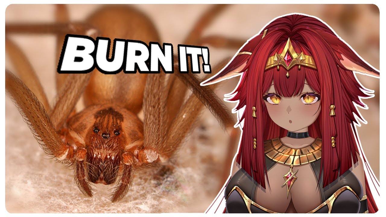 VTuber Reacts to More parz Australia, I COULDN'T WATCH THIS ONE, PART 2!