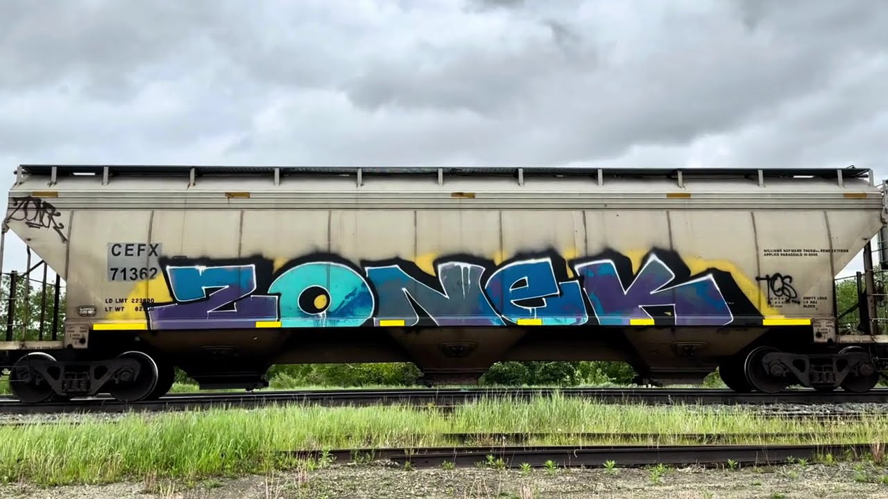 Freight Train GRAFFITI Benching #48