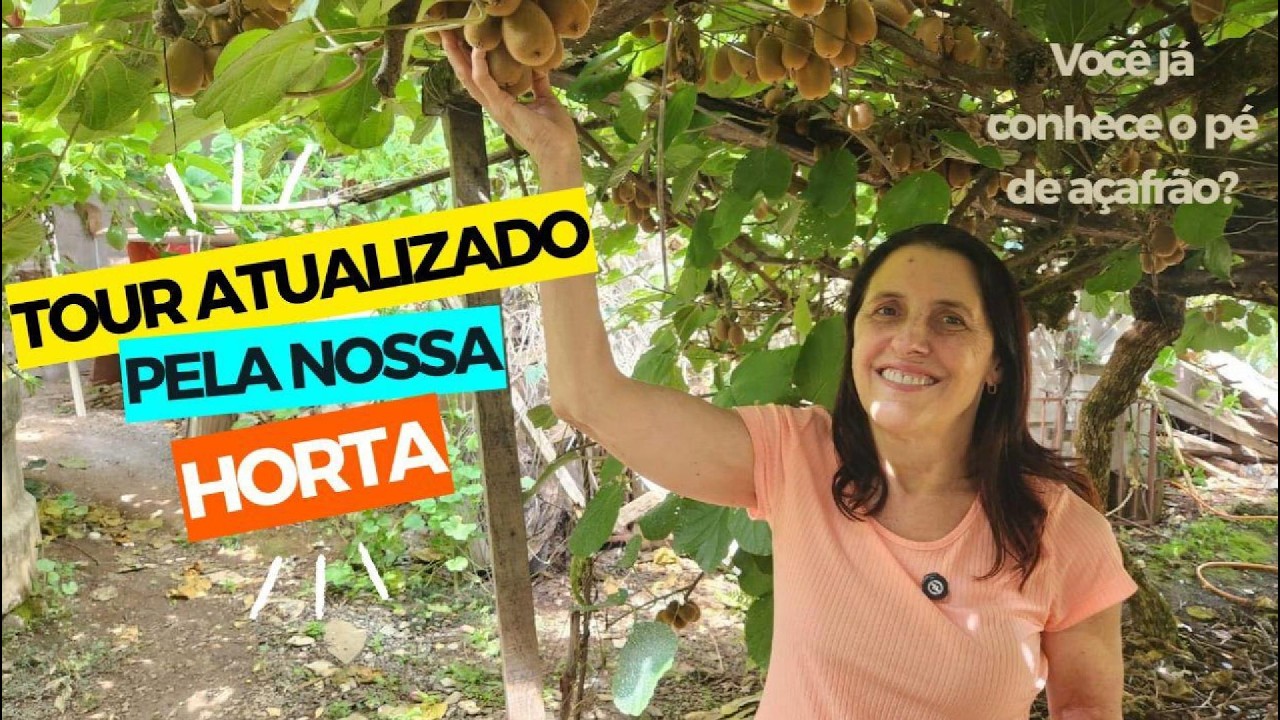 TOUR ATUALIZADO PELA NOSSA HORTA - Você já conhece o pé de açafrão?