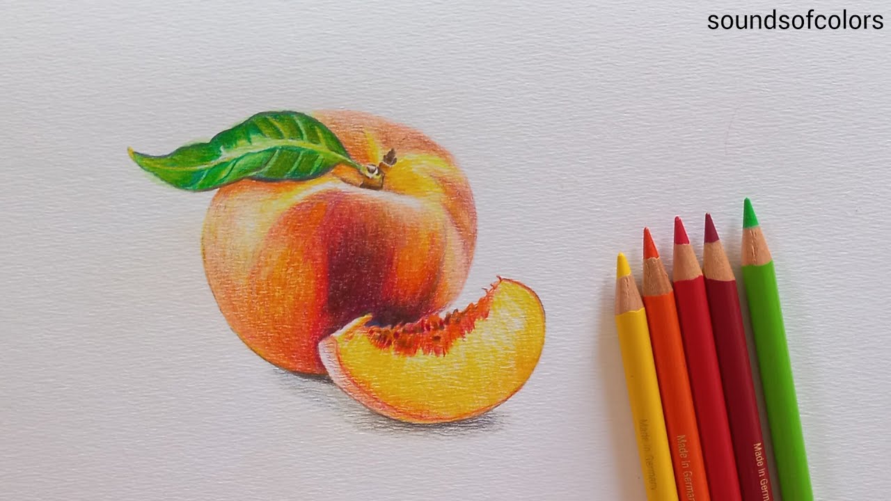 How to Draw a Peach | Peach Friut Drawing | Drawing with Colored Pencils for Beginners